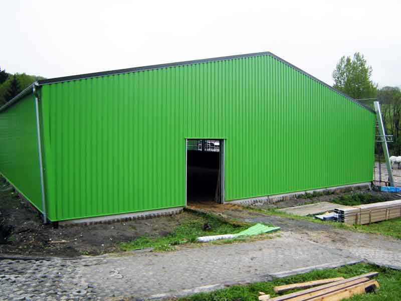 Hallensanierung von einem Flehninghaus in grün